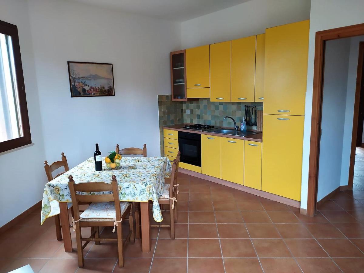 Due Pini Daire Scopello  Oda fotoğraf